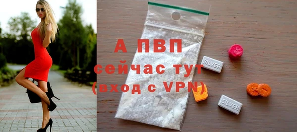 ECSTASY Кодинск