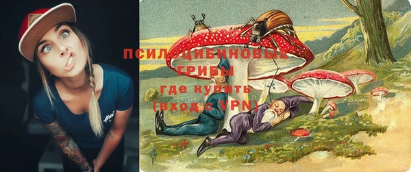 ECSTASY Кодинск