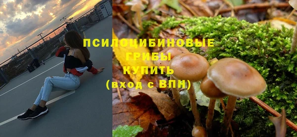 дурь Костерёво